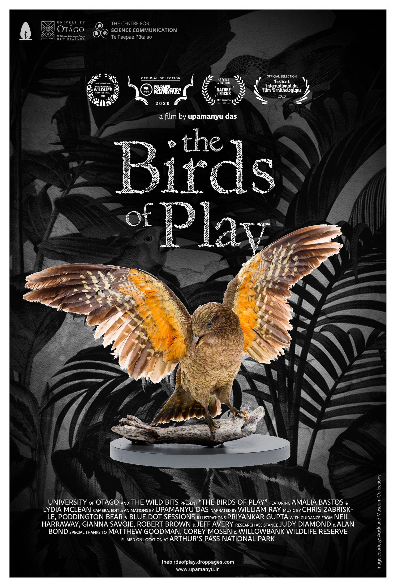 The Birds of Play filmaffisch