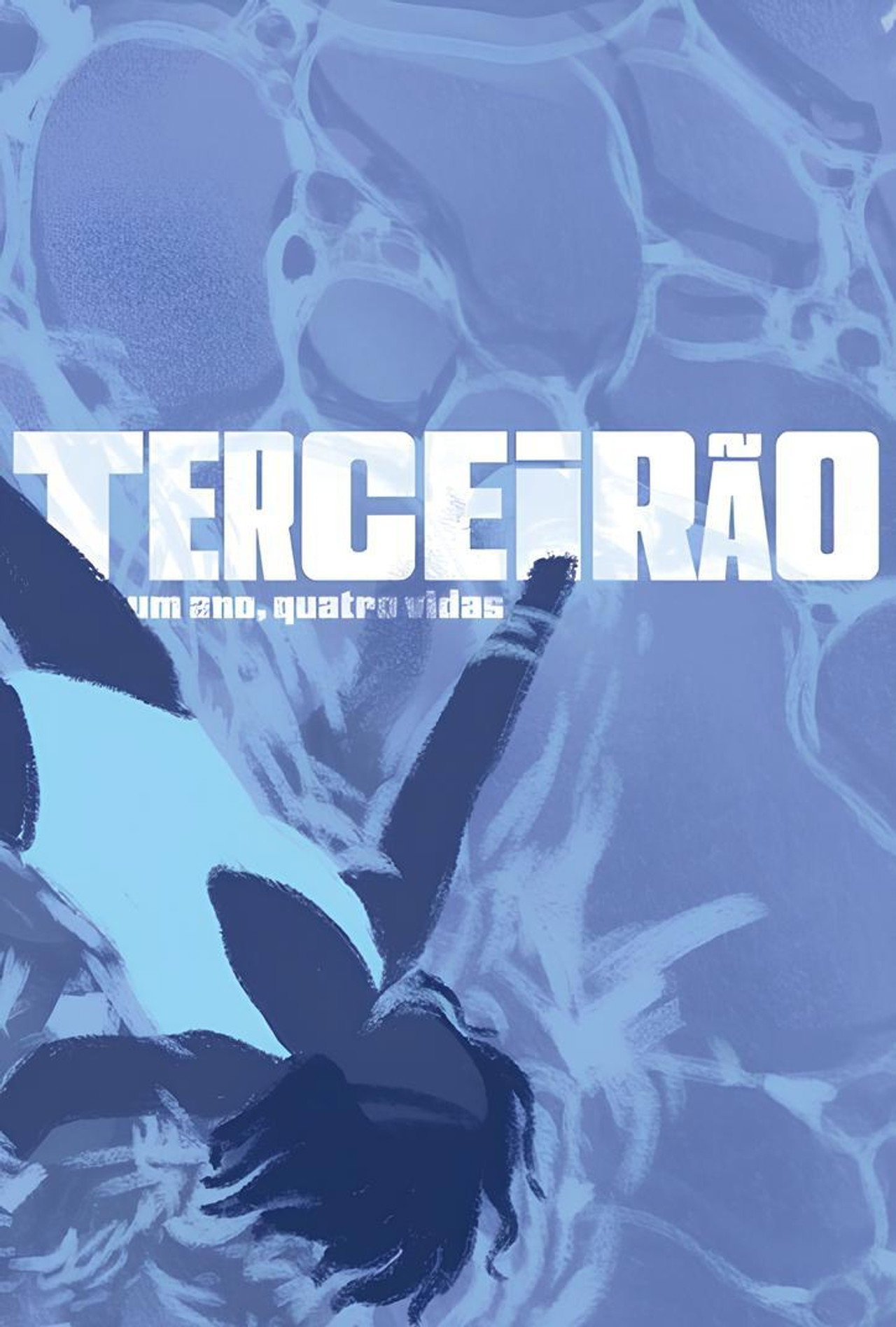 Terceirão - Um Ano, Quatro Vidas filmaffisch