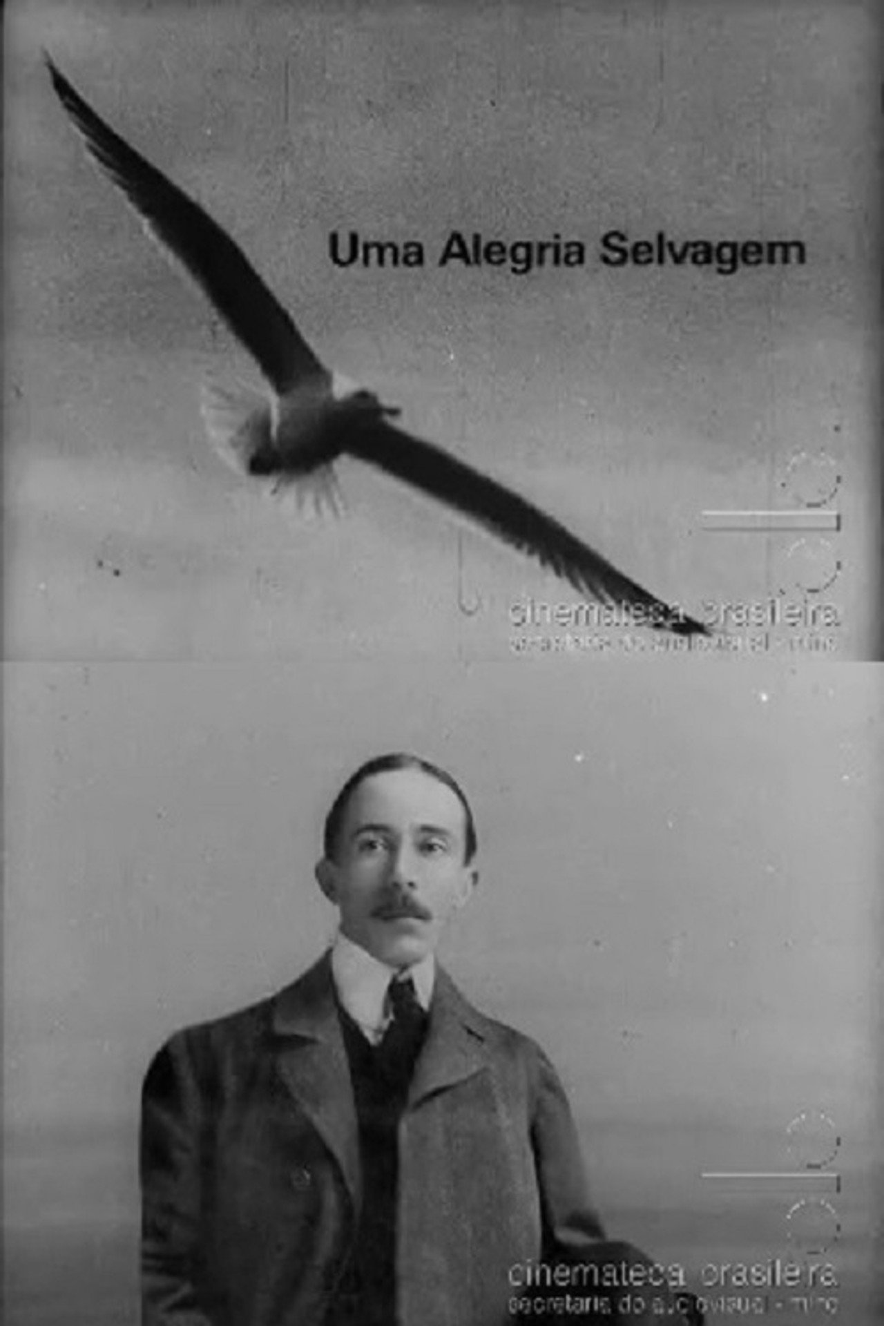 Uma Alegria Selvagem filmaffisch