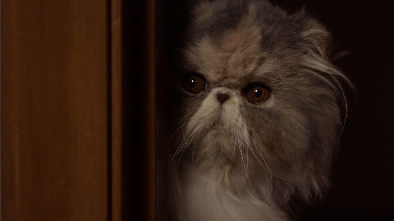 Crims - Season 3 Episode 6 : Grandma Anita (2)