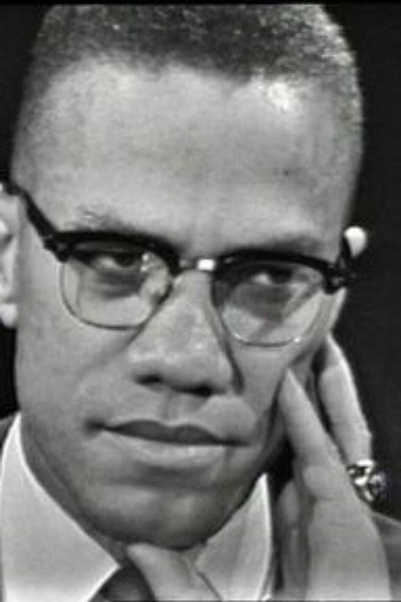 The Negro and the American Promise Backdrop