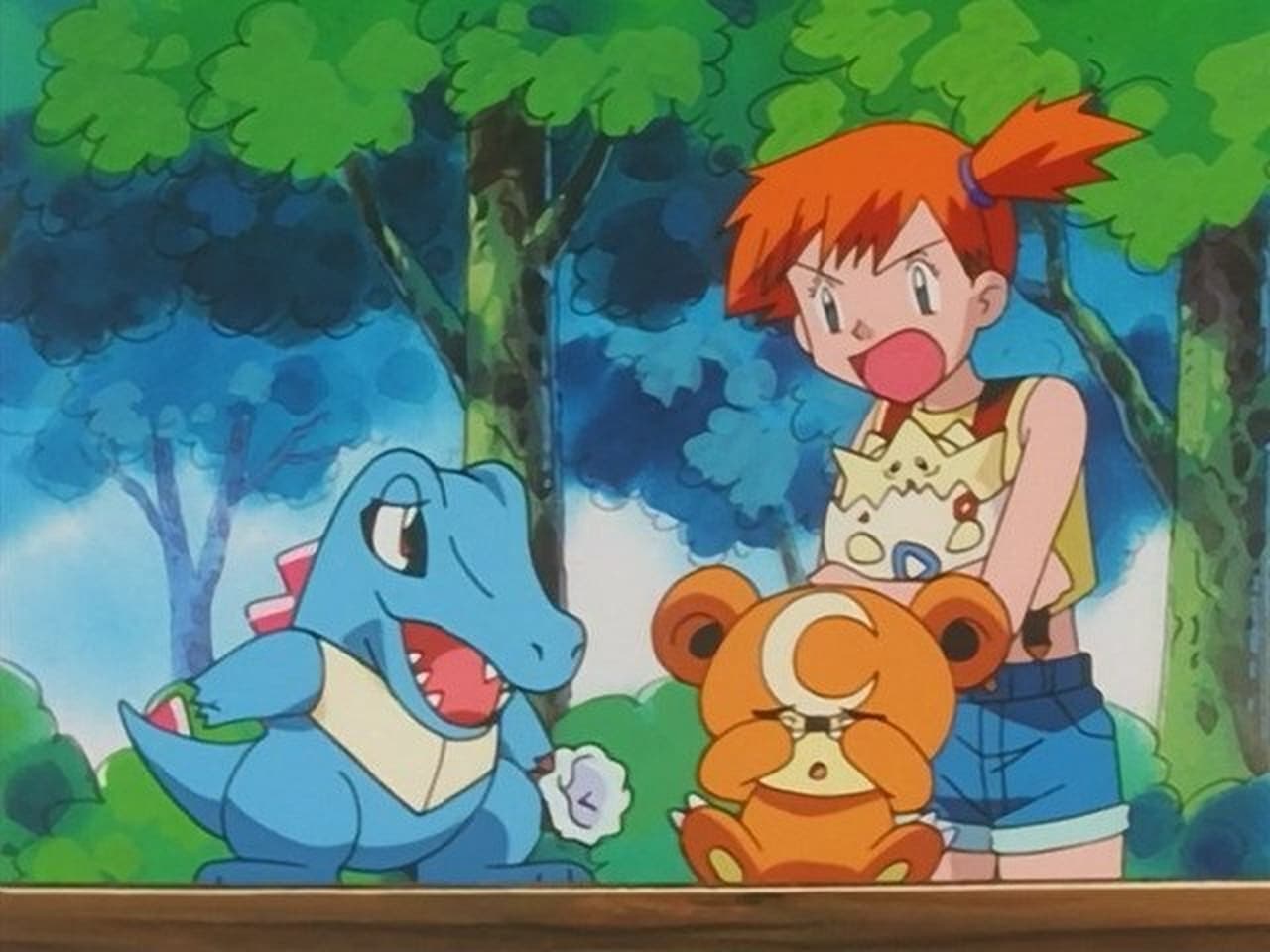 Pokémon - Season 4 Episode 29 : UnBEARable