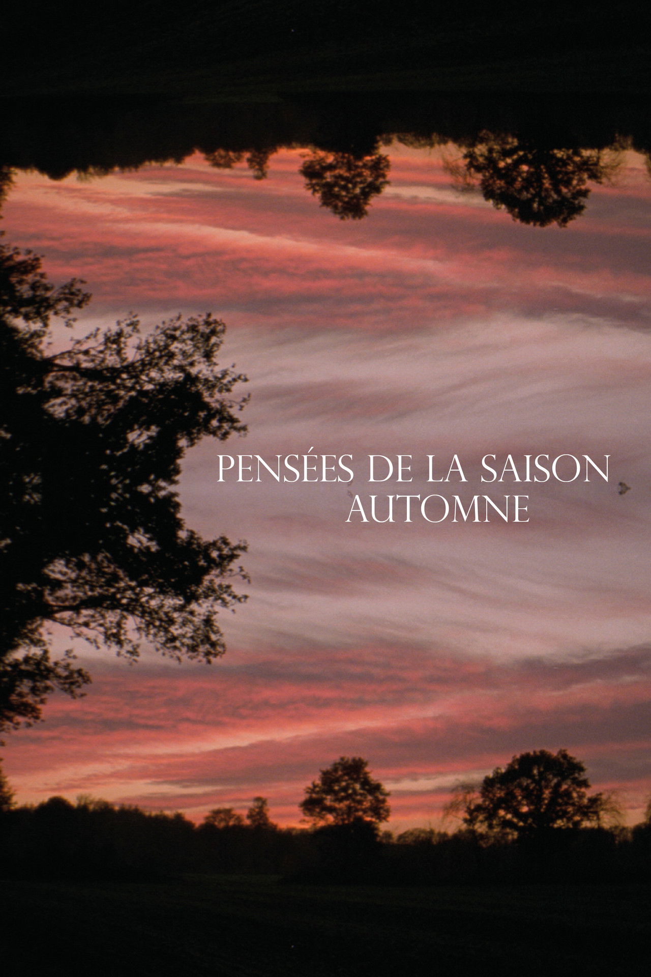 Autumn thoughts Backdrop