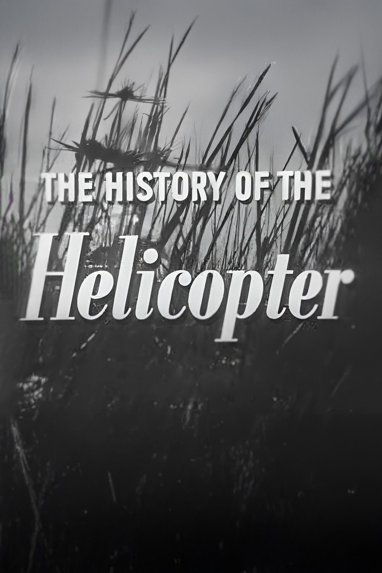 The History of the Helicopter Backdrop