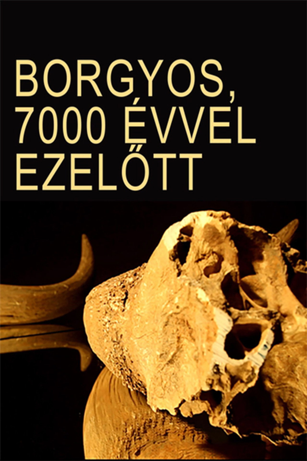 Borgyos, 7000 évvel ezelőtt – plakát 3