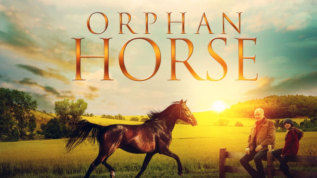 Orphan Horse background