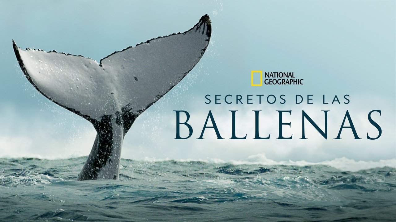 Los Secretos de las ballenas background