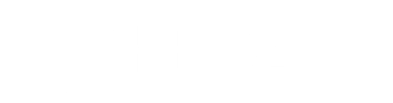 The Race