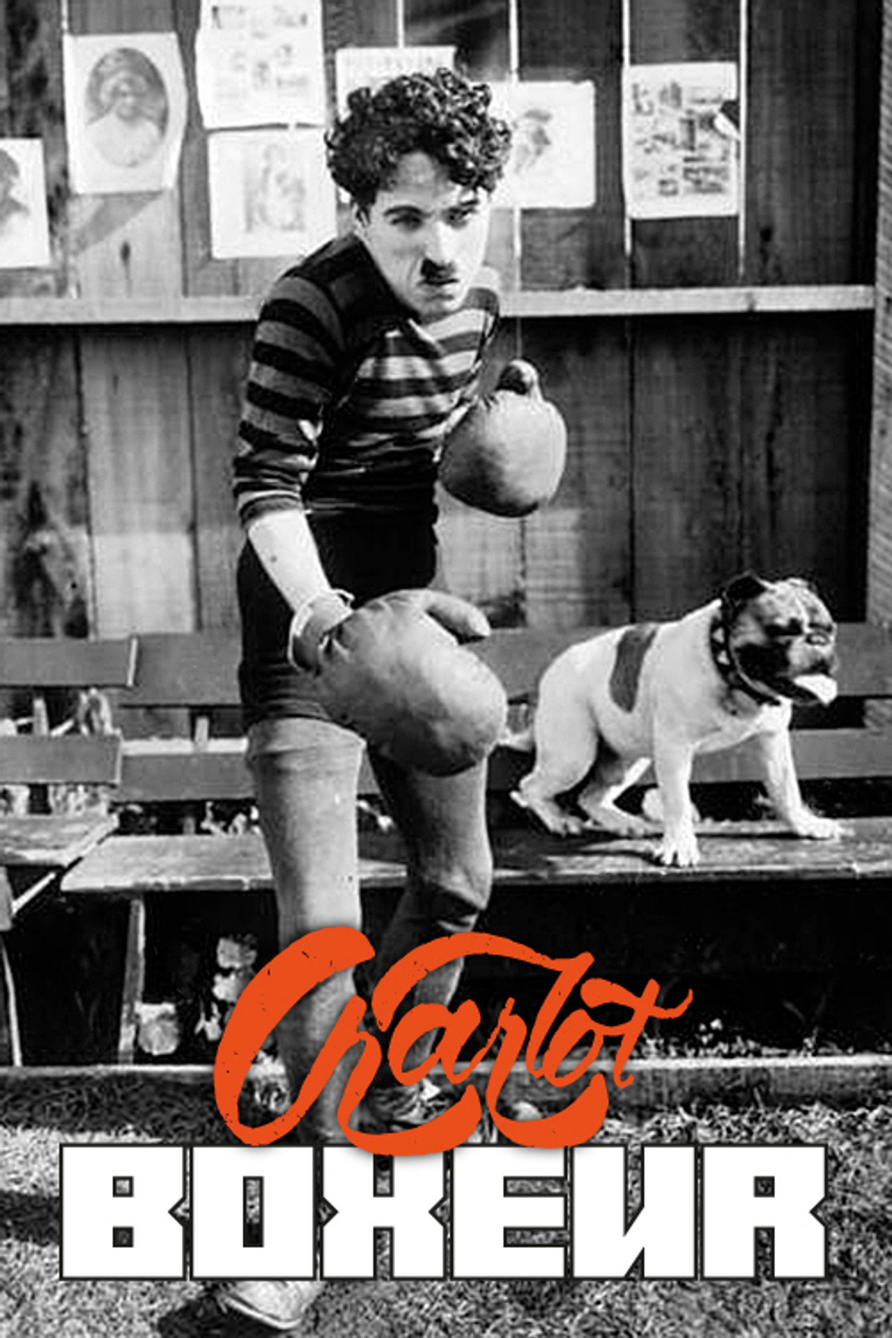 Charlot boxeur poster