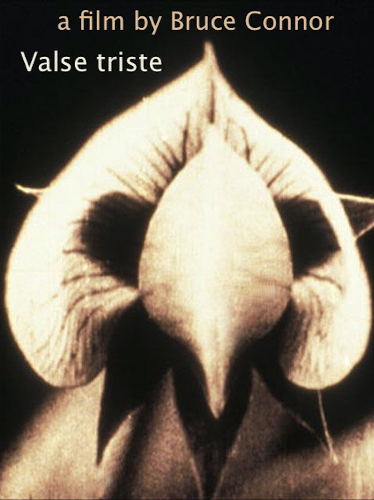 Valse Triste Valse Triste