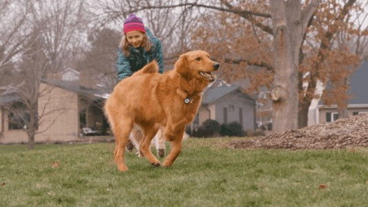 The Wizard of Paws - Season 2 Episode 6 : Zoey