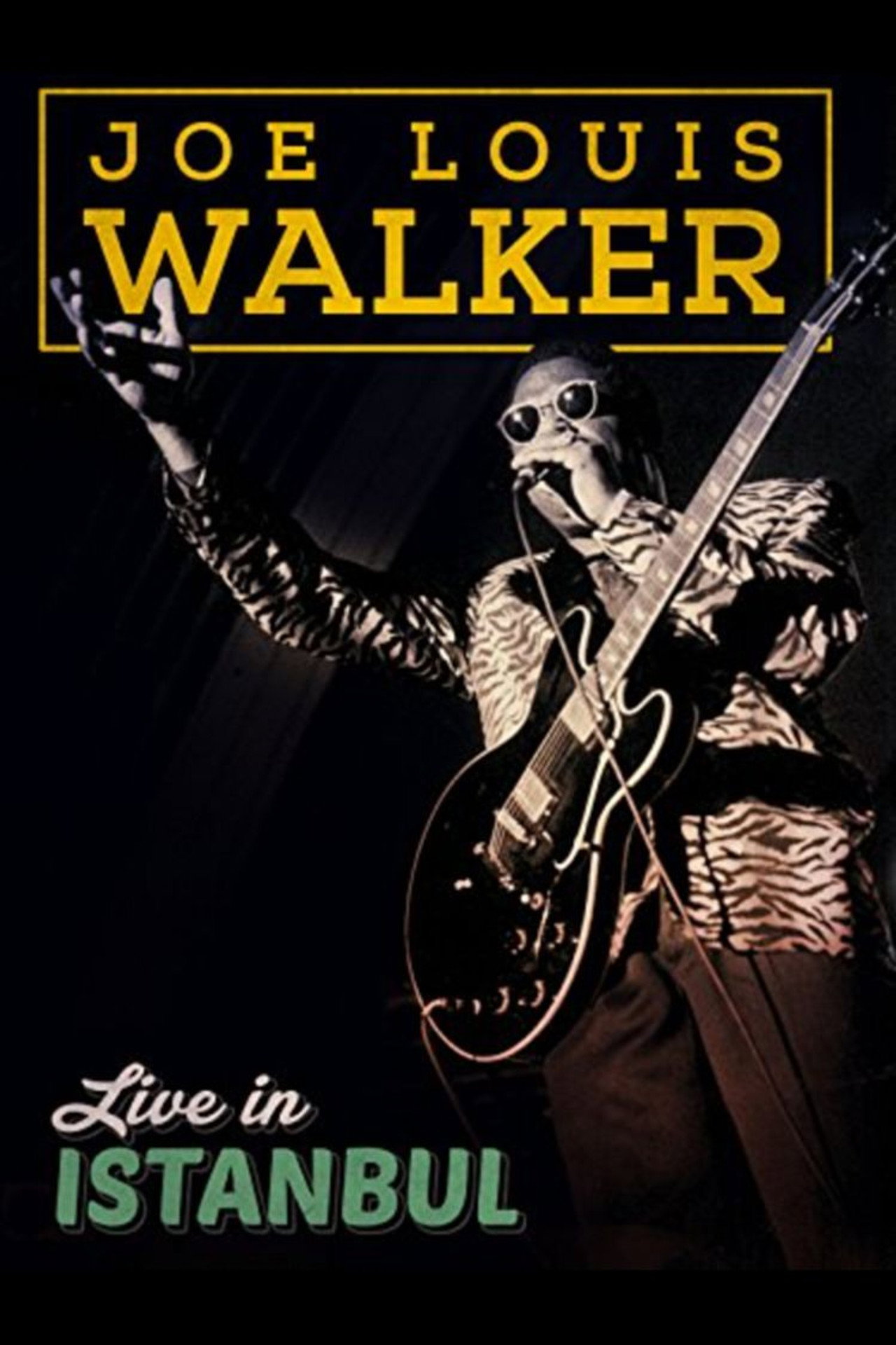 Joe Louis Walker: Live In Istanbul Backdrop