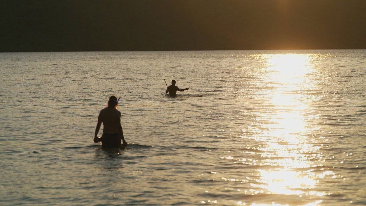 Robinson - Season 24 Episode 7 : Episode 7