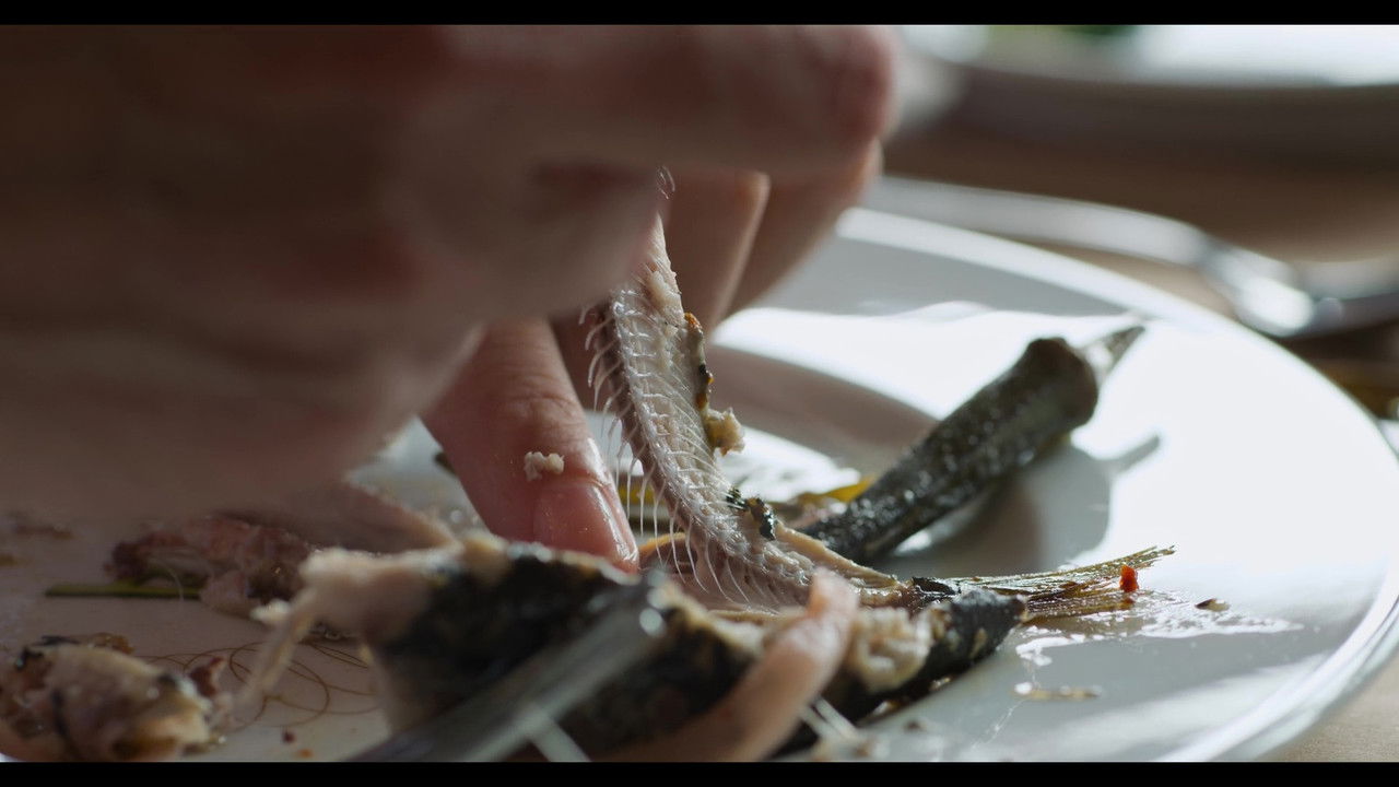 Image Comida para Phil