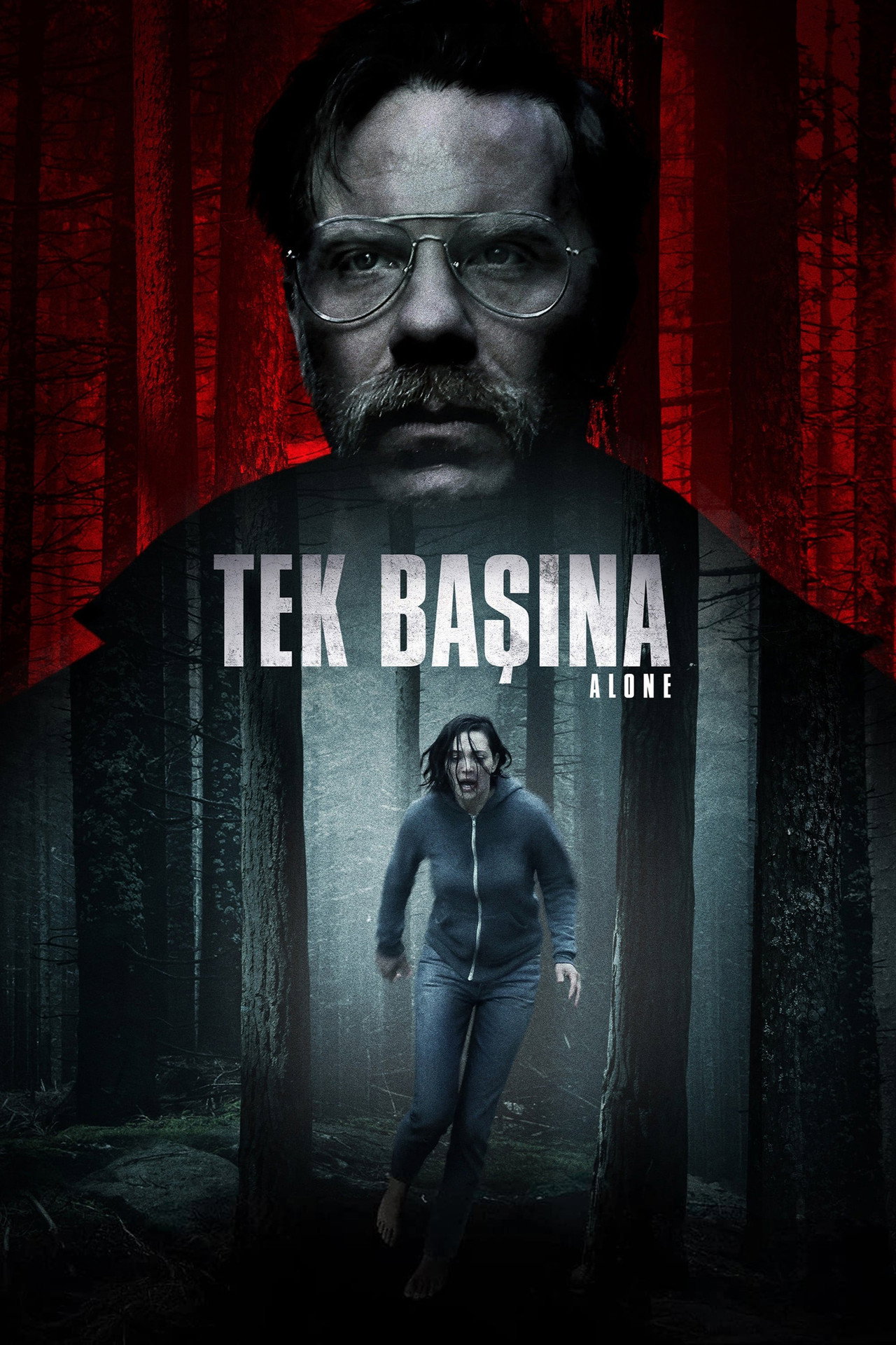 Tek Başına Poster