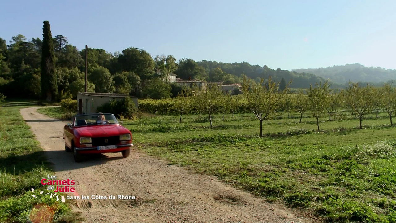 Les Carnets de Julie — La route turquoise, dans les côtes du Rhône