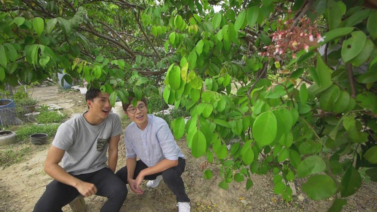 香港原味道 — Épisode 25