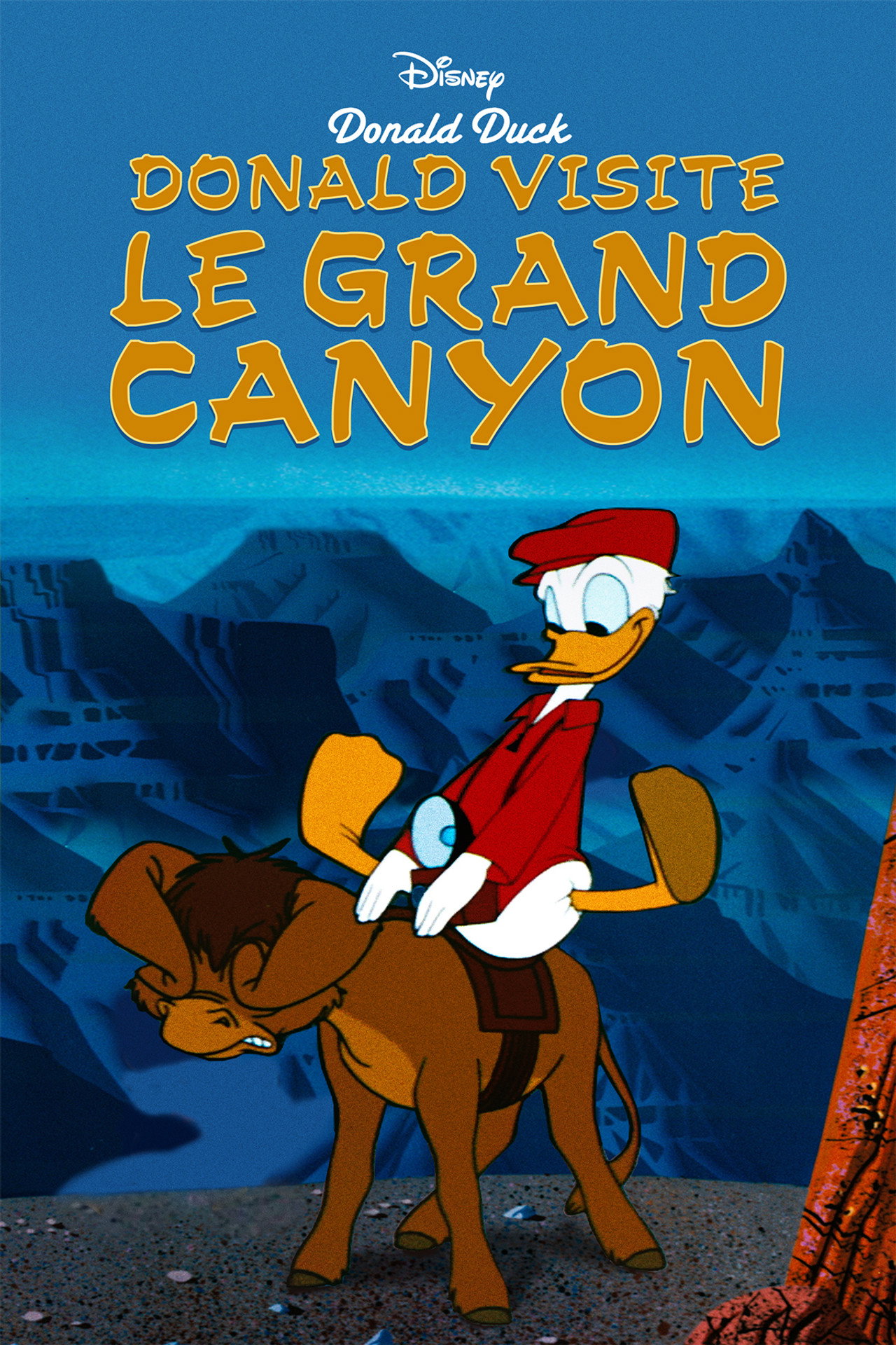 Donald visite le Grand Canyon poster