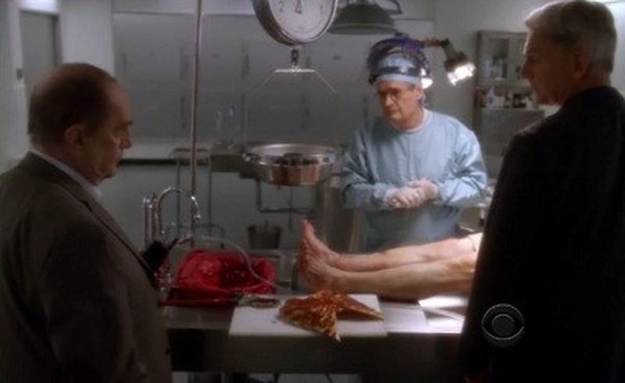 NCIS - Season 8 Episode 12 : Recruited