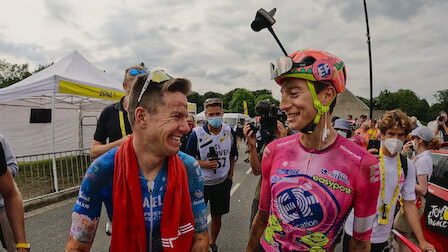 Image Tour de Francia: En el corazón del pelotón