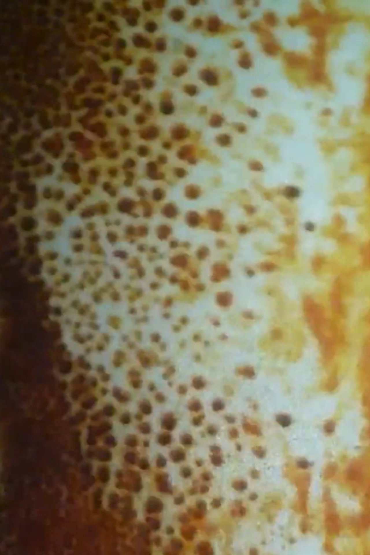 Untitled #1 (sun vision) filmaffisch