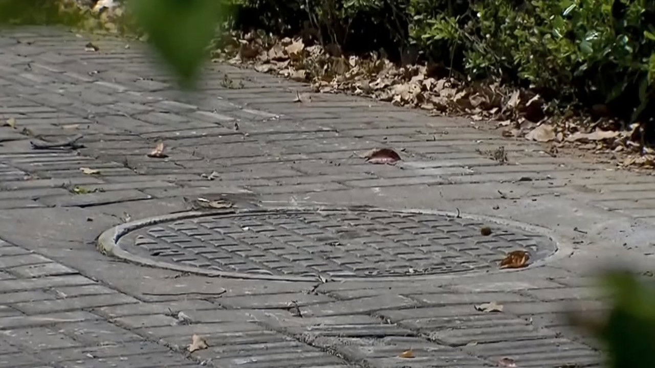 传奇故事 — Épisode 51