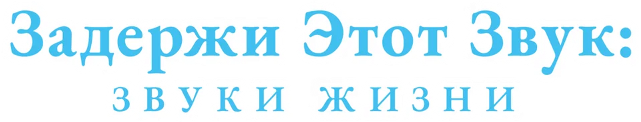 Задержи этот звук: Звуки жизни