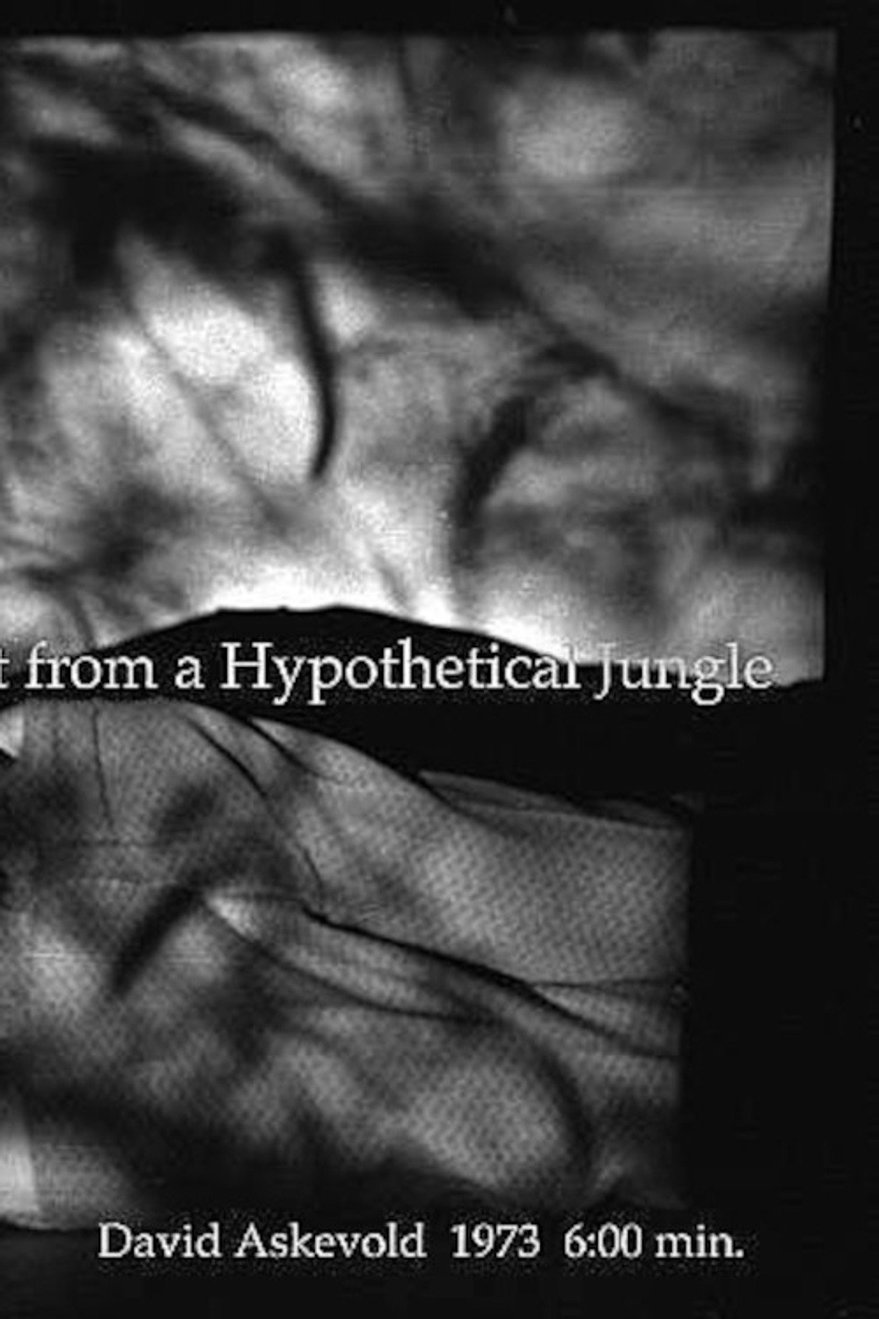 My Recall of an Imprint from a Hypothetical Jungle filmaffisch