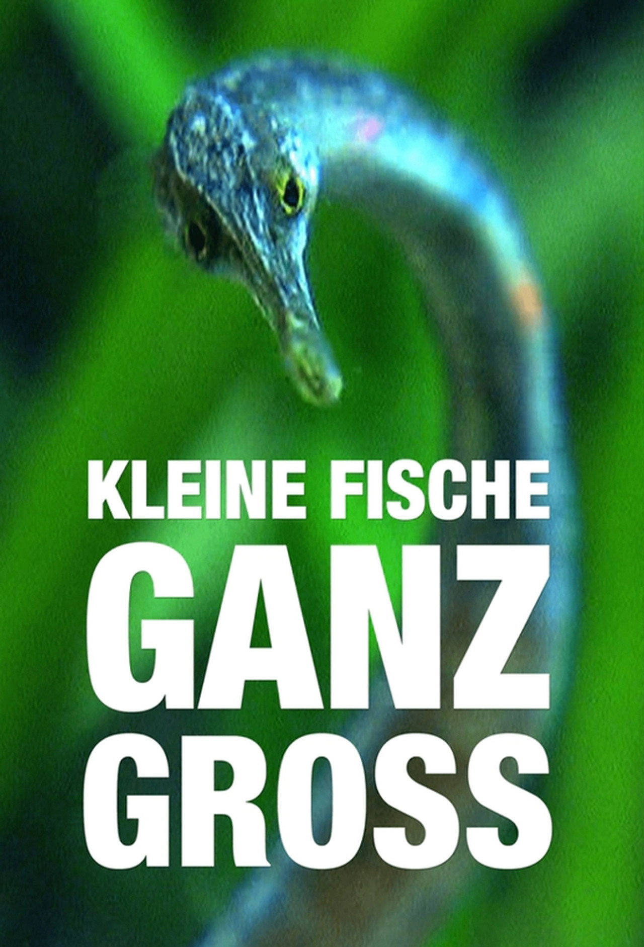 Kleine Fische ganz groß