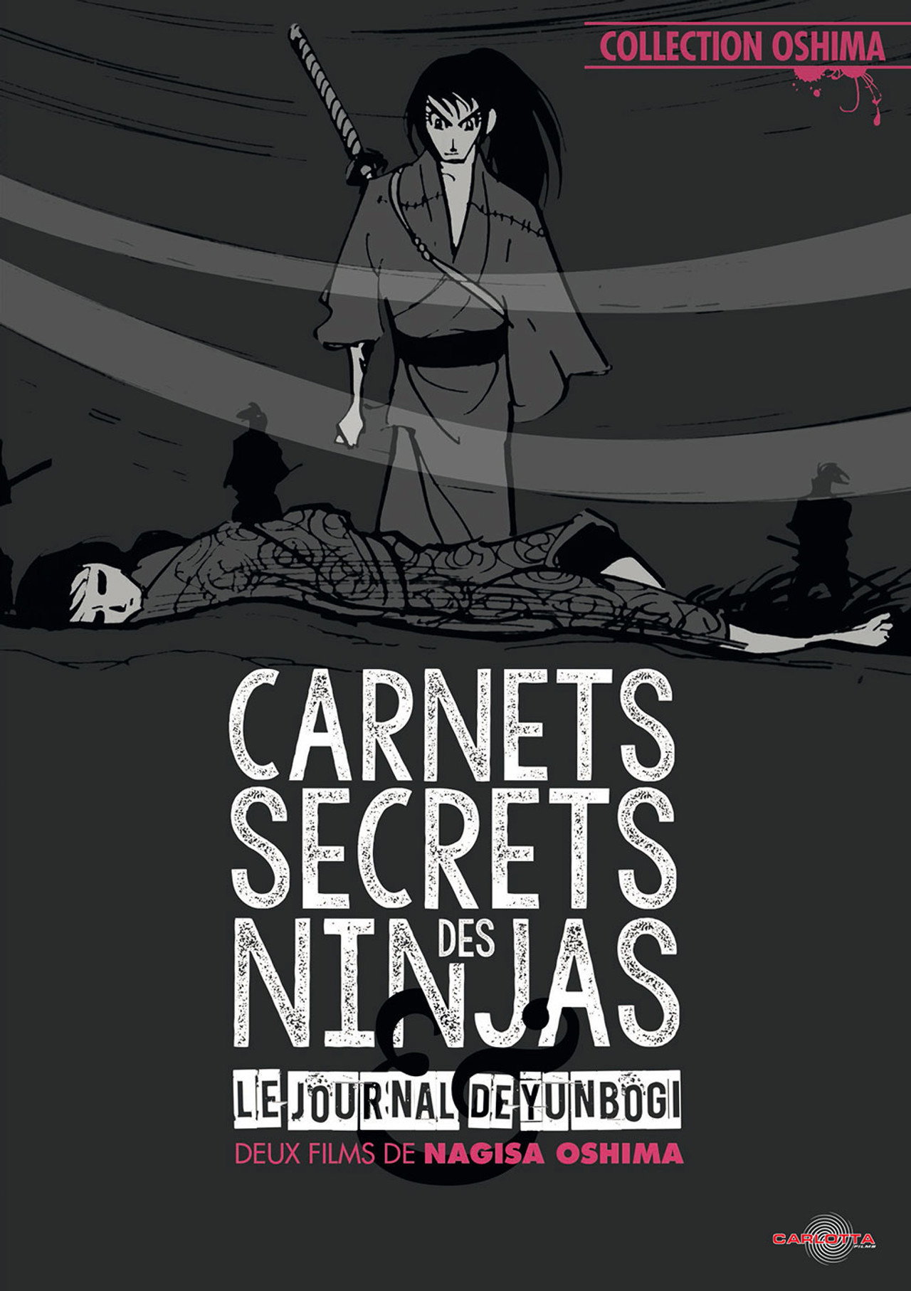Carnets secrets des ninjas