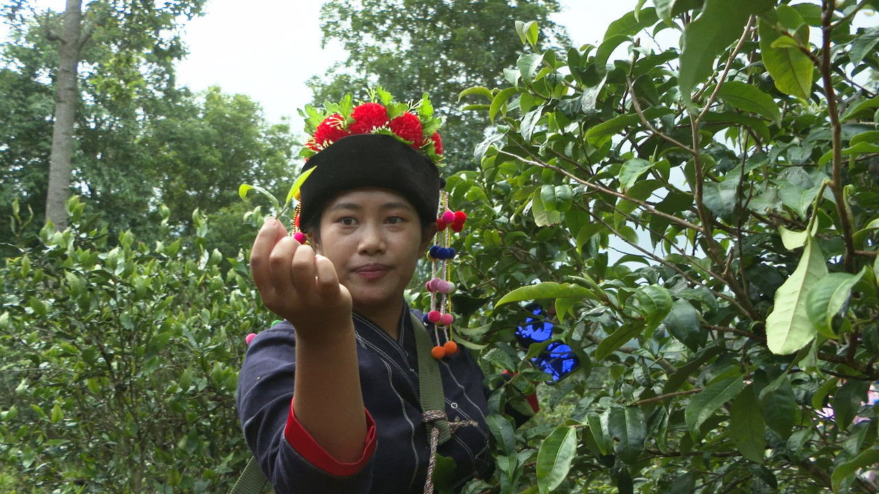 地球鉄道 — Épisode 12