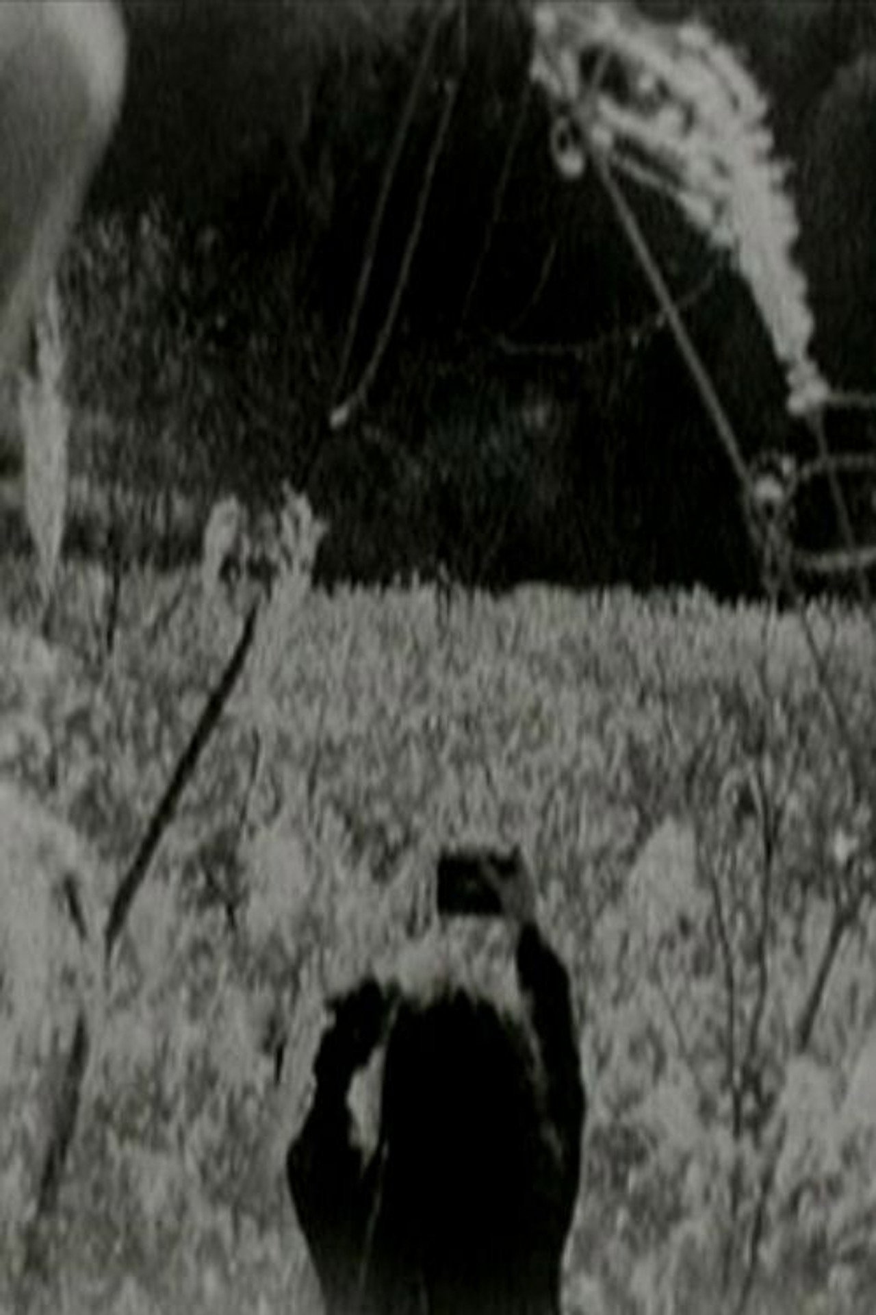 Chichibu Rest Backdrop