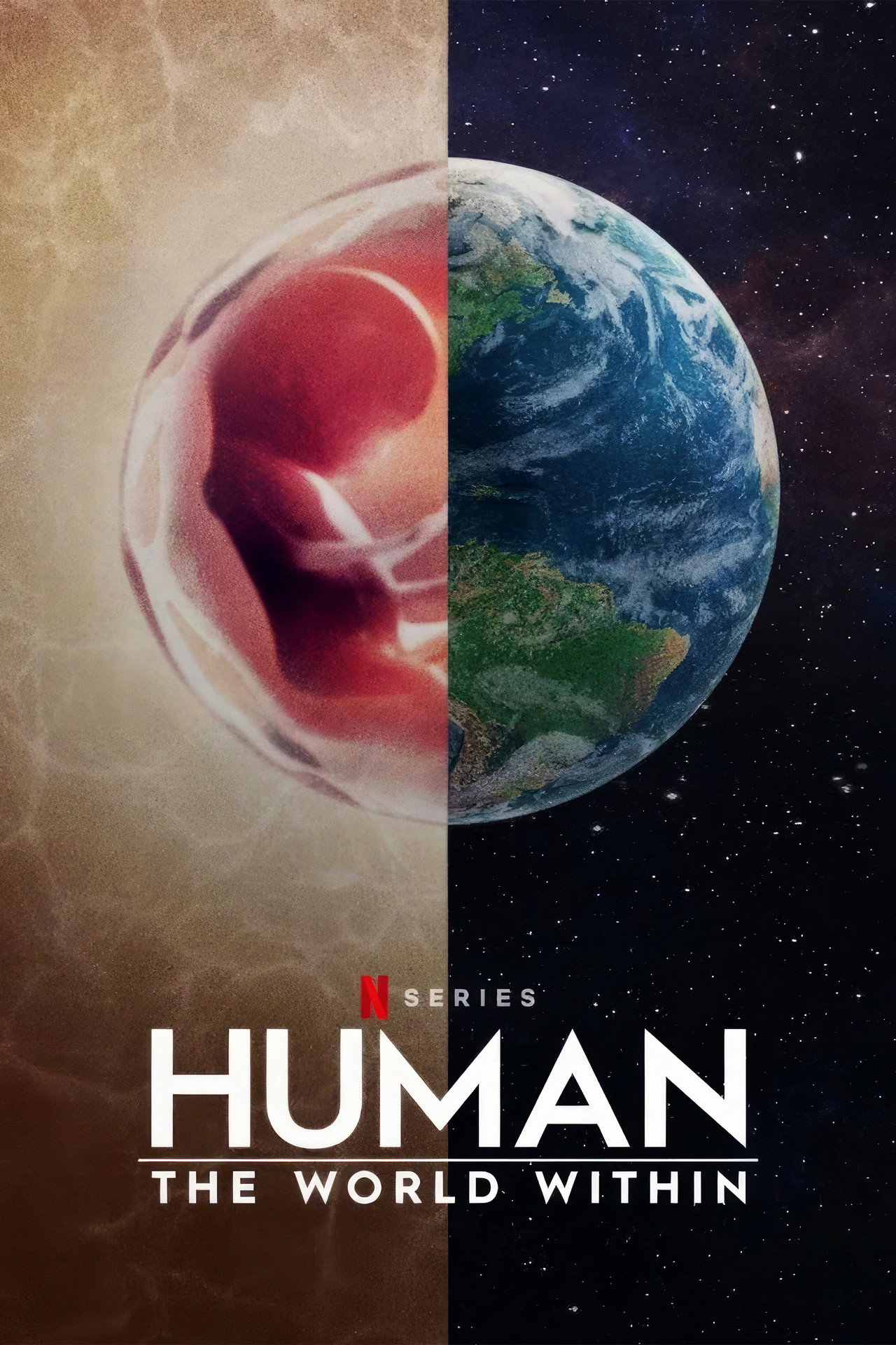 Human: The World Within