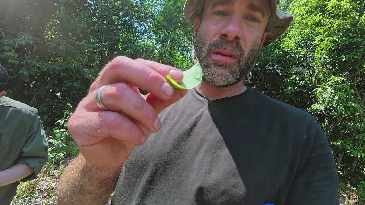 Adventure Buddies — Épisode 8