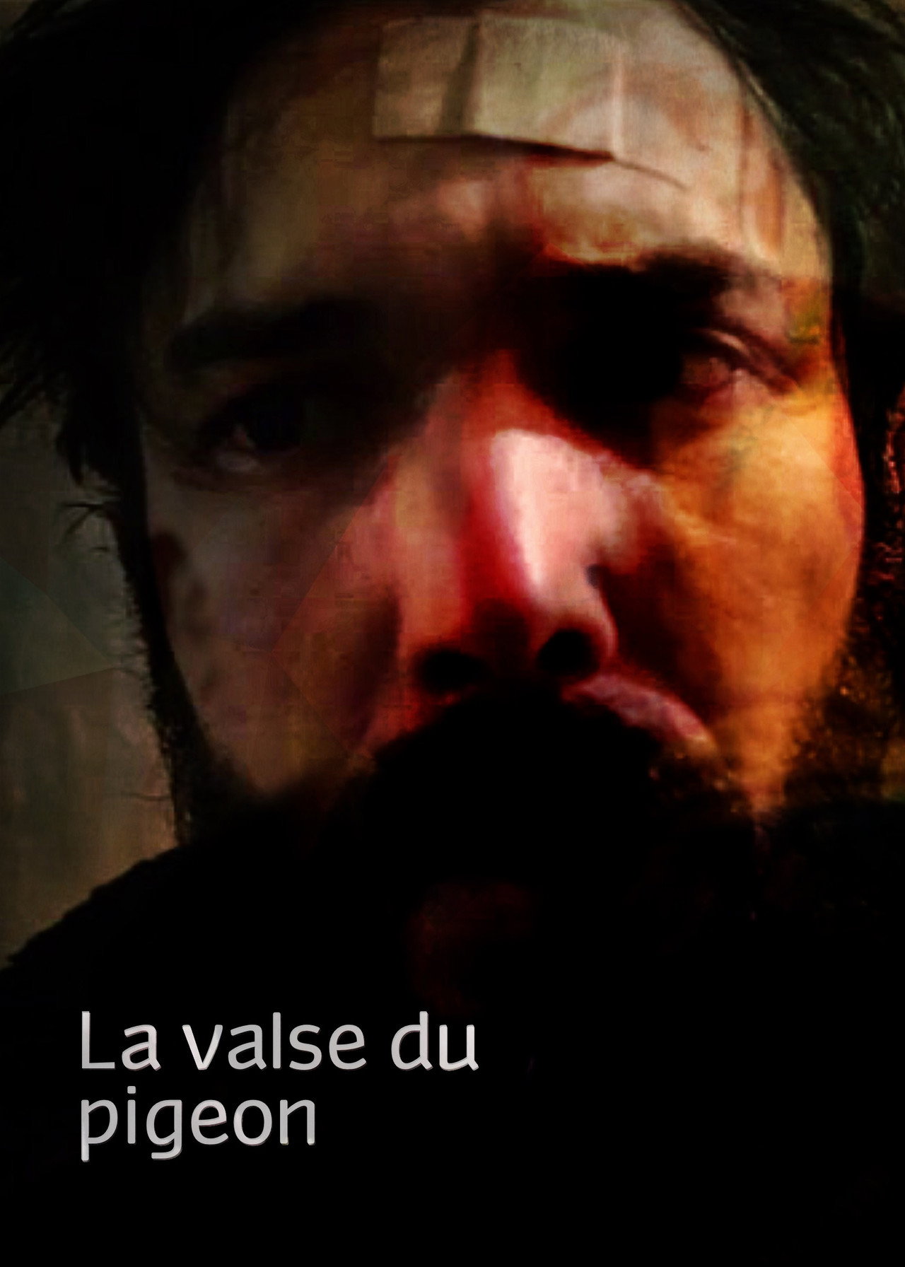 La valse du pigeon filmaffisch