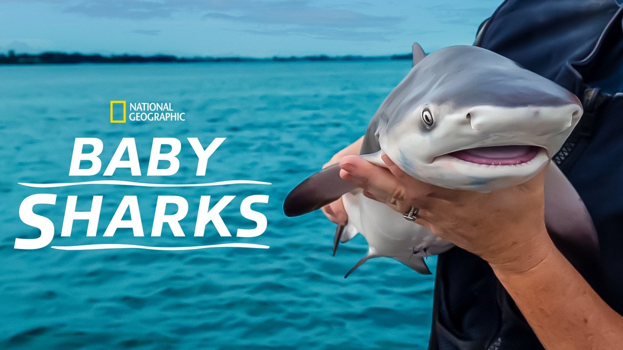 Baby Sharks background