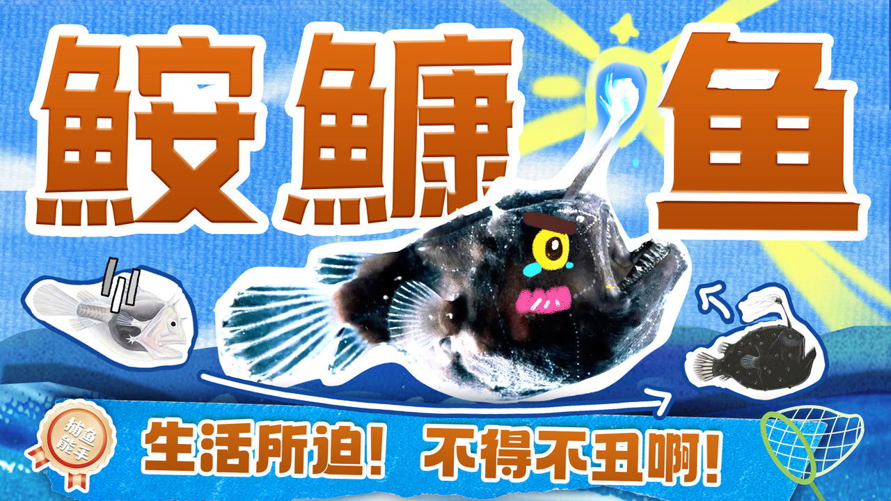 斑马百科探索 — Épisode 45