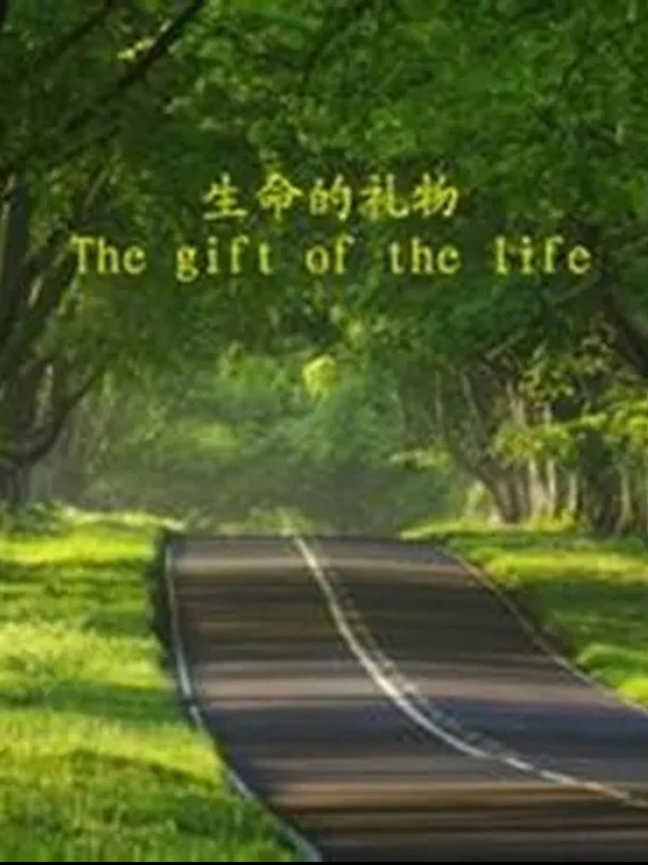 The Gift of the Life Backdrop