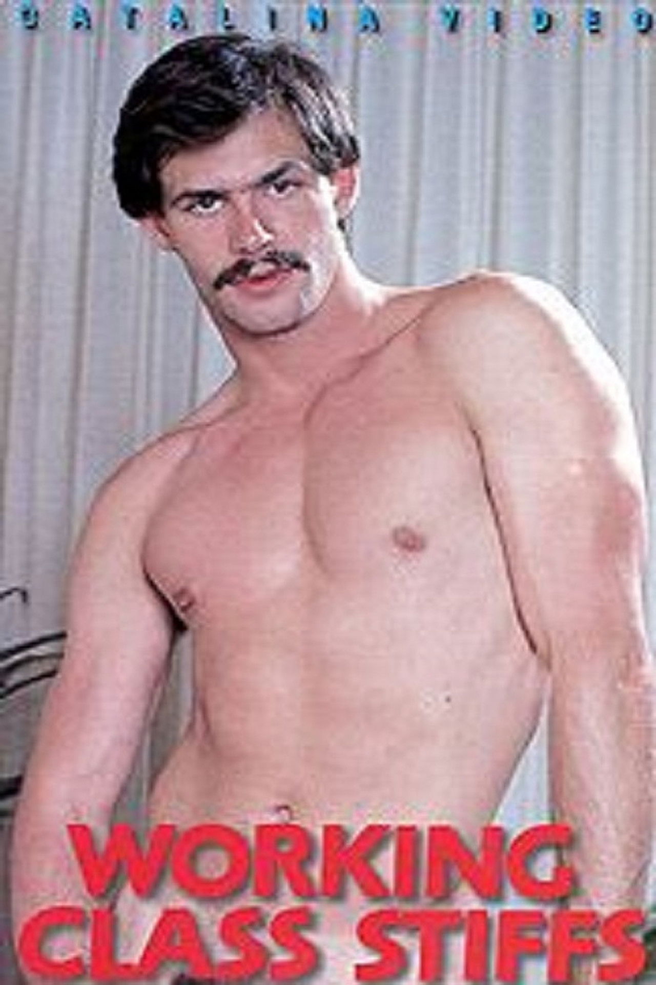 Working Class Stiffs Backdrop