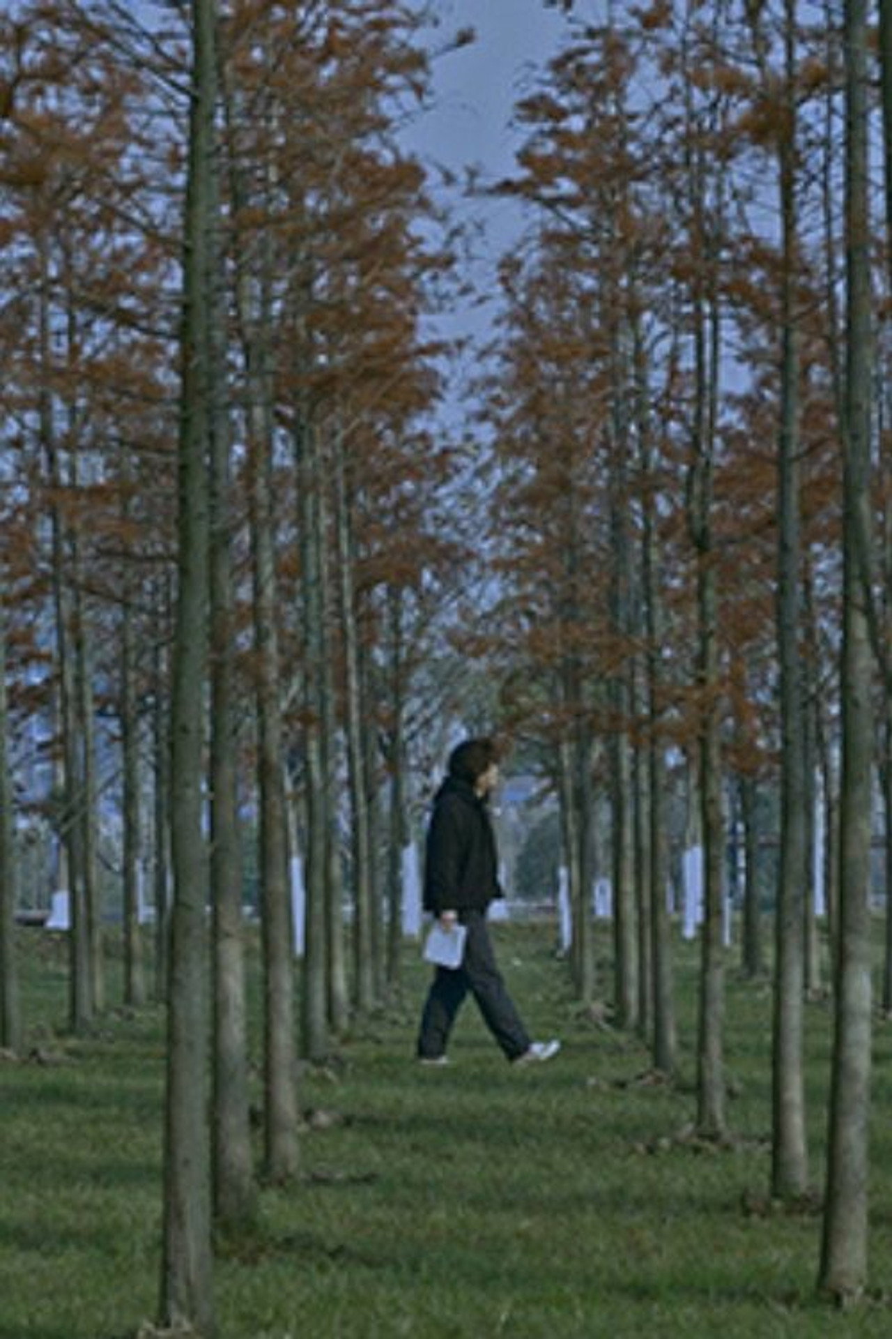 五里霧中 filmaffisch