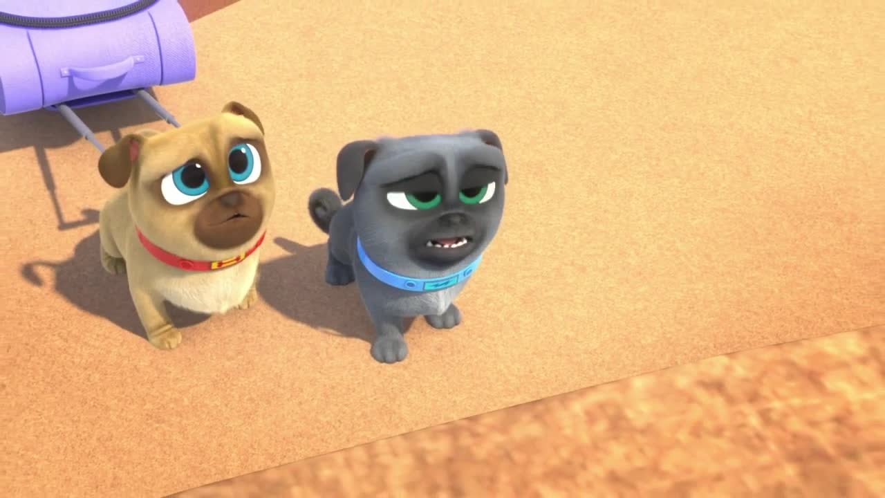 Puppy Dog Pals - Season 3 Episode 33 : Suitcase Switcheroo