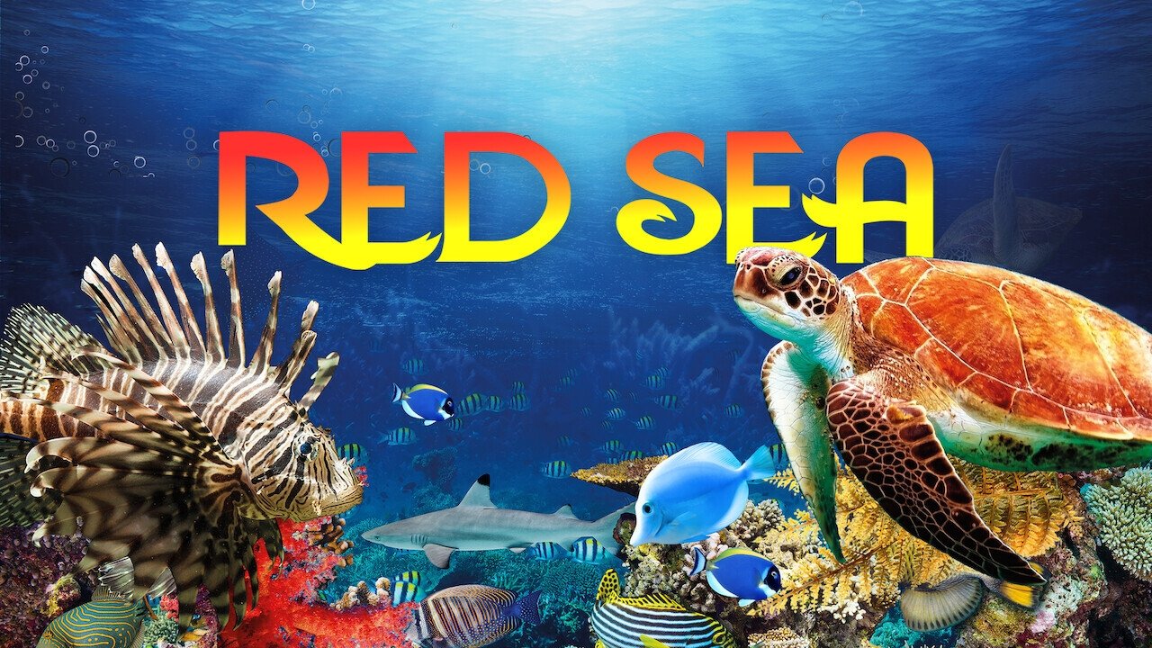 Red Sea background