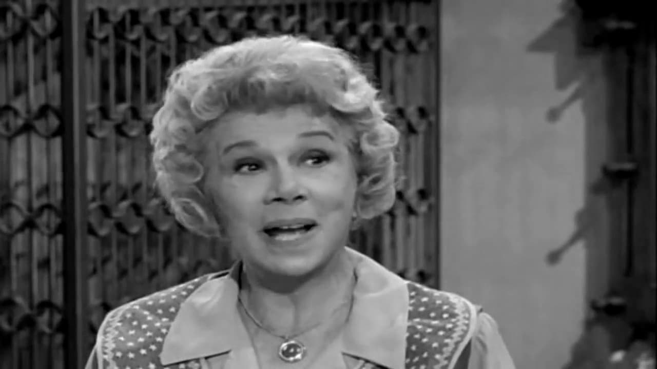 Petticoat Junction - Season 1 Episode 29 : Kate the Stockholder