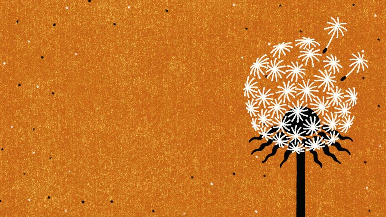 title image