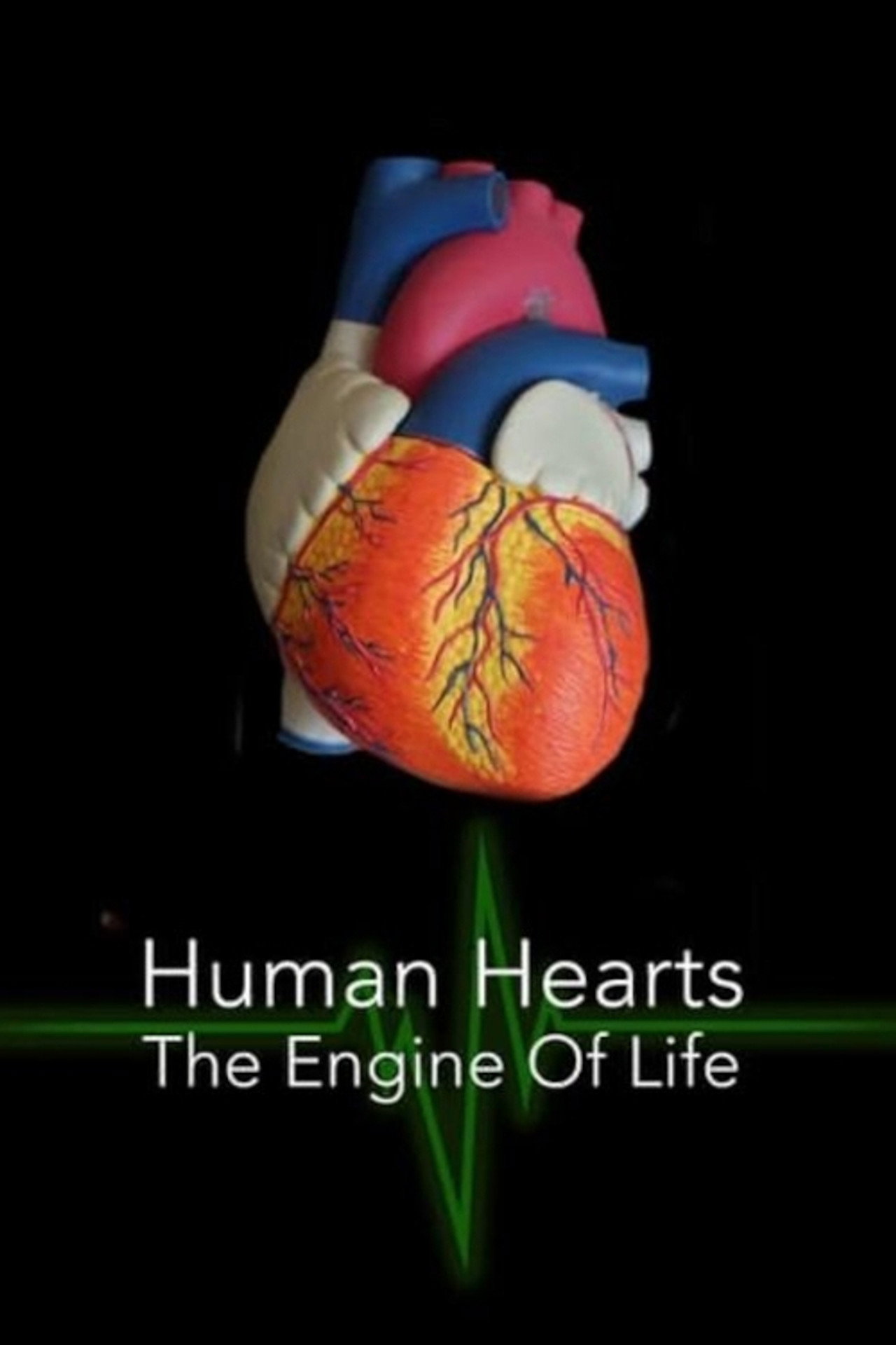 Human Hearts: The Engine of Life (2020)