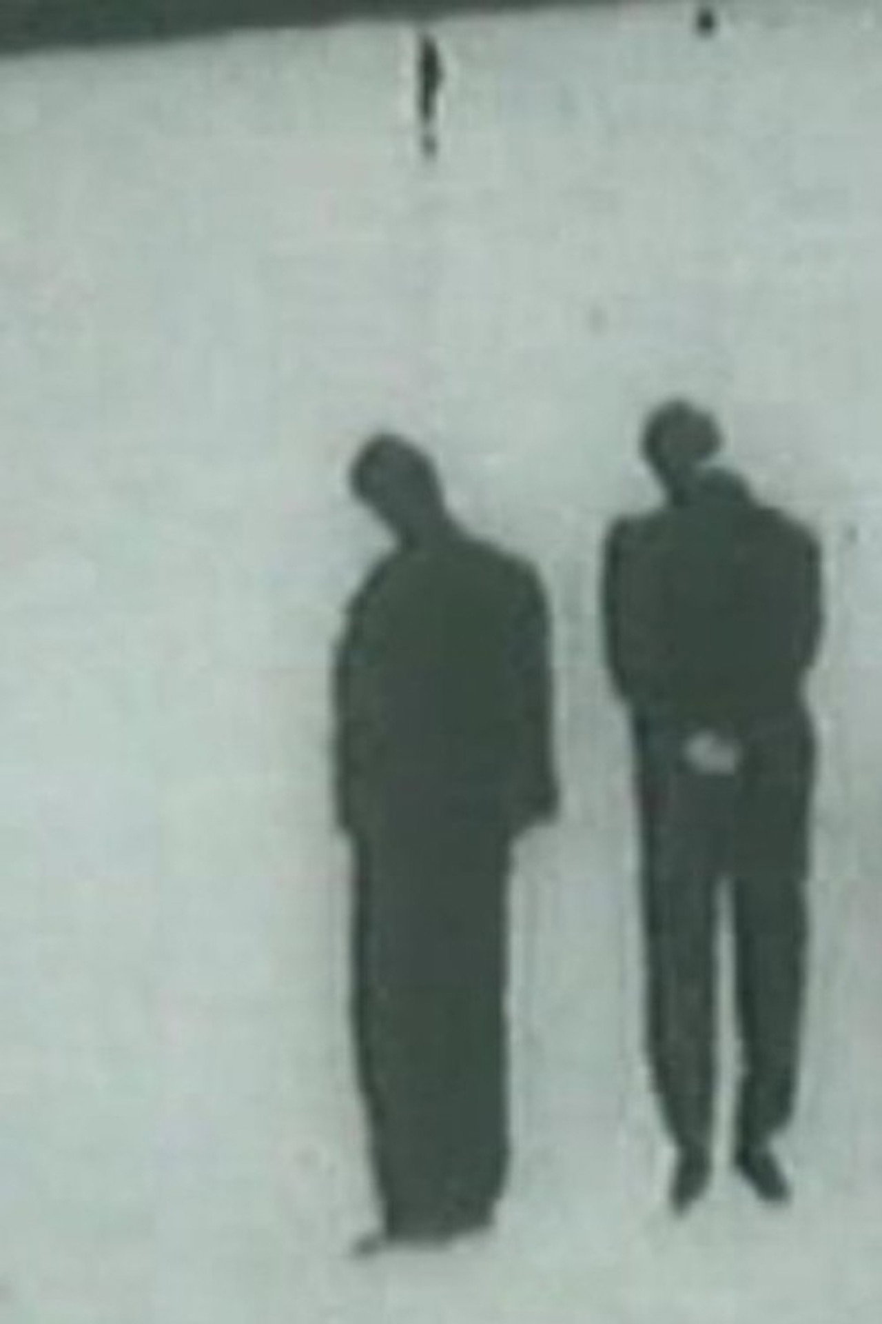 La quieta febbre Backdrop