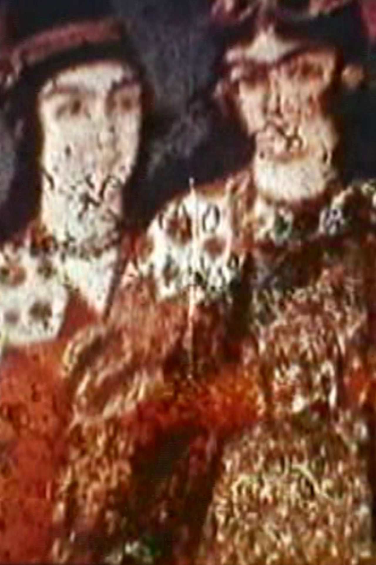 Pomegranate Tree filmaffisch