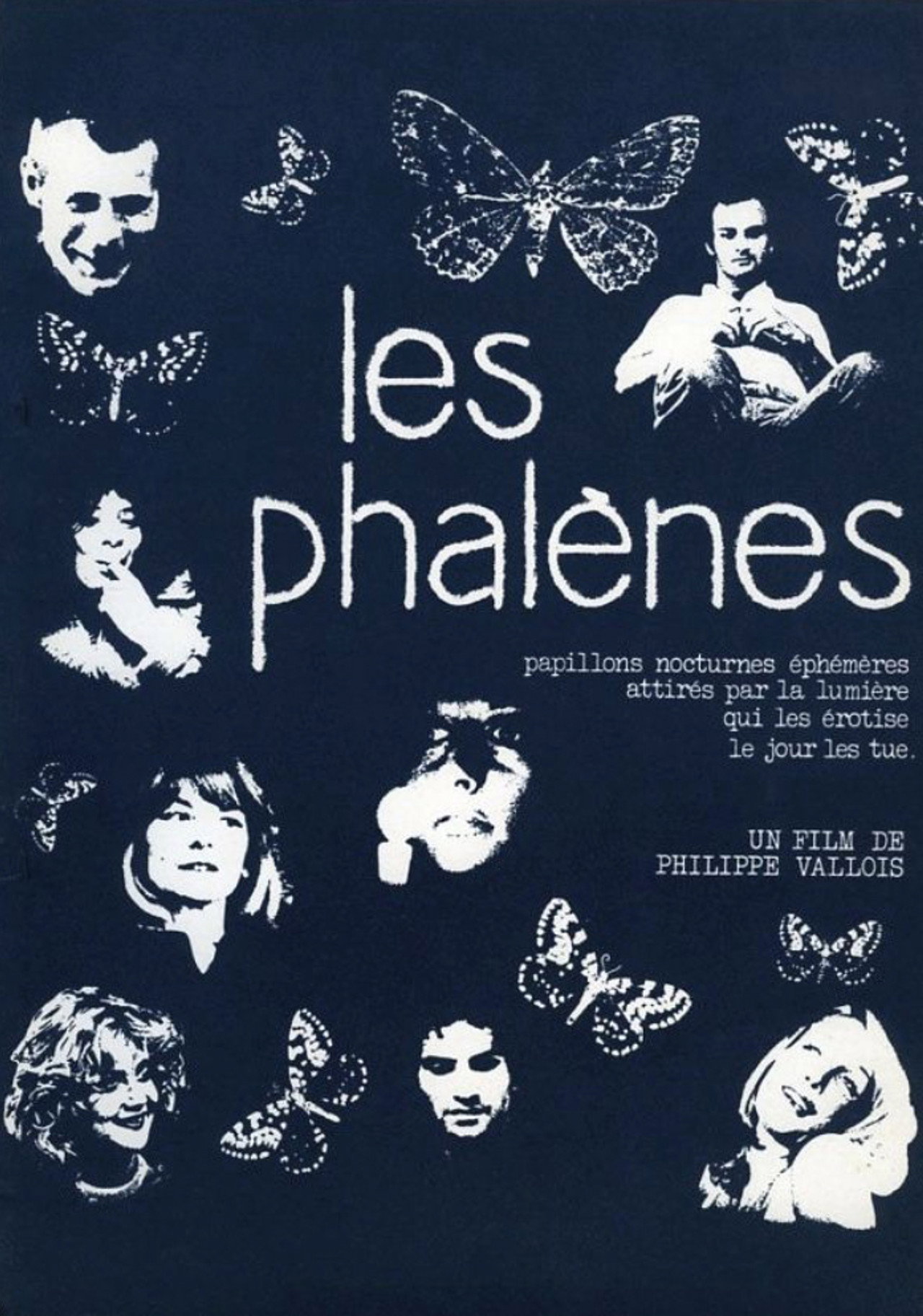 Les phalènes Backdrop
