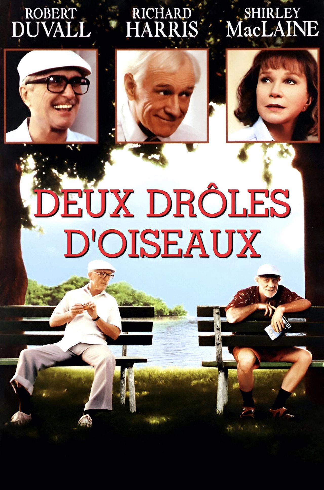 Deux drôles d'oiseaux poster