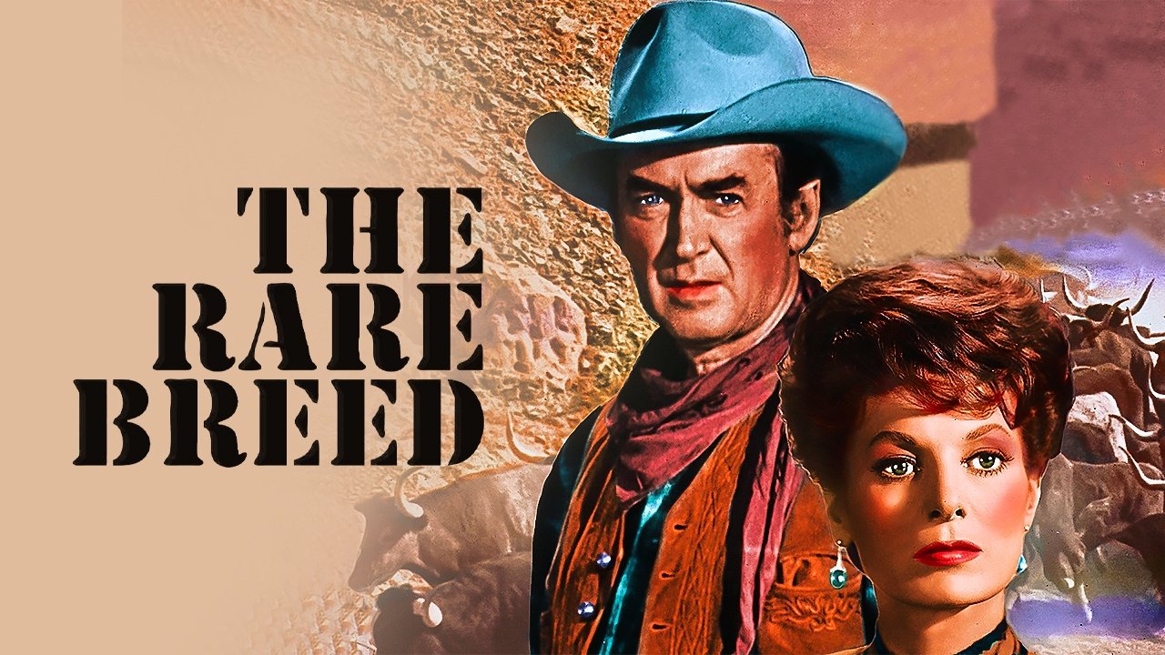 title image